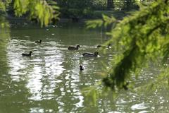 Jardin Public in Bordeaux with people walking and a pond