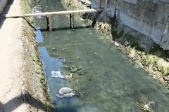 polluted water in Talisay City, Cebu