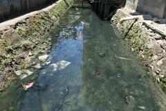 polluted water in Talisay City, Cebu