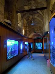 Aquarium Alexandria