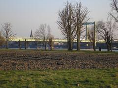 Acker in Köln-Poll with the Rodenkirchener Autobahnbrücke in the background