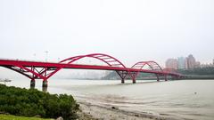 Guandu Bridge from Bali