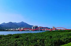 Mangrove forest in Guandu Nature Park