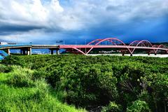 Tamsui District Zhuwei Mangrove