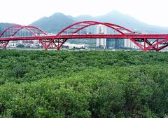 Guandu Bridge in Taipei, Taiwan