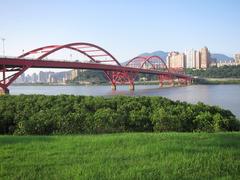 Blue sky above Guandu Bridge with mangrove forest in foreground