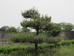 Osaka Castle Gardens