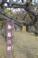 Orchard at Osaka Castle