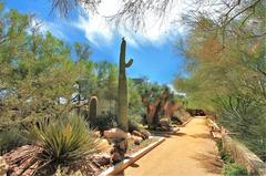 Cactus Alley at Springs Preserve in Las Vegas