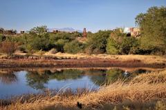 Heritage garden in Springs Preserve, Las Vegas