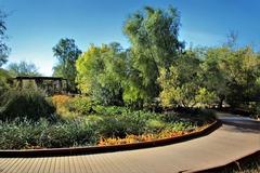 Springs Preserve Garden with various plants and a walking path