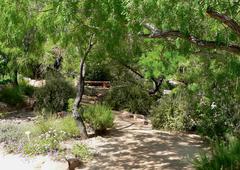 garden path at Springs Preserve in Las Vegas, Nevada