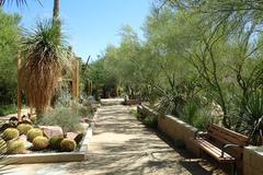 Springs Preserve in Las Vegas panoramic view