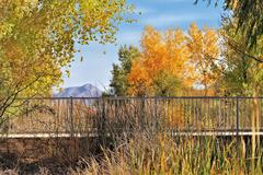 Cienega trail bridge at Springs Preserve in Las Vegas