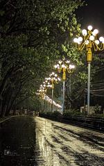 Rajshahi city at night after a rain