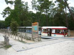 Saint-Trojan-les-Bains tourist train