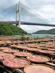 Shrimp paste drying under the sun in Ma Wan, Hong Kong