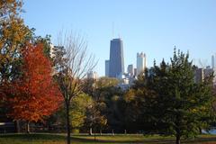 John Hancock Building from Lincoln Park Zoo