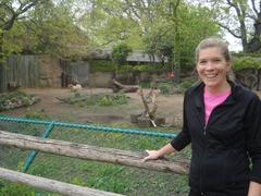 Kangaroos at Lincoln Park Zoo