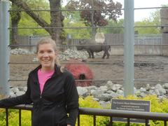 Rhino at Lincoln Park Zoo