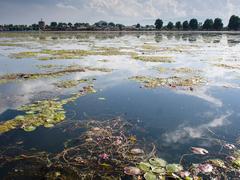 Scenic view of Dal Lake with mountains and houseboats