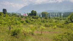 Almond Villa and Dal Lake