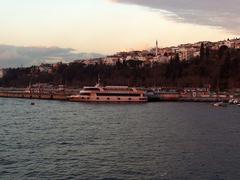 2013 Istanbul at night with illuminated Suleymaniye Mosque