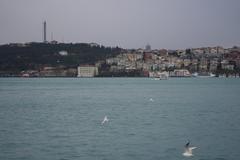 Bosphorus Strait with a view of the cityscape and boats