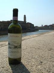 Chianti wine bottle on the Arno River in Pisa