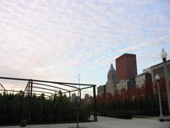 Downtown Chicago skyline with tall buildings and clear blue sky