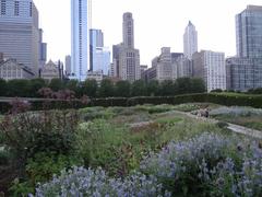 Lurie Garden, Millennium Park, Chicago