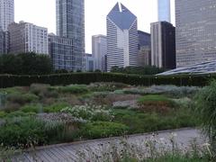 Lurie Garden in Millennium Park, Chicago