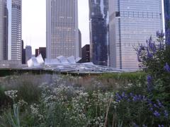 Lurie Garden in Millennium Park, Chicago