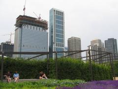 Lurie Garden north shoulder hedge armature with Lakeshore East in the background