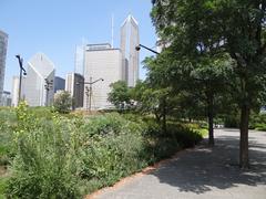 Lurie Garden in Millennium Park