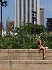 Lurie Garden at Millennium Park in Chicago