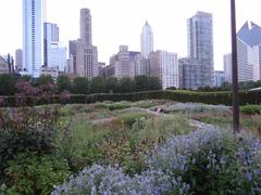 Lurie Garden in Millennium Park, Chicago