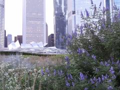 Lurie Garden in Millennium Park, Chicago.