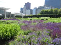 Chicago skyline in June 2015