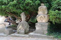 Old stones in Square René-Viviani, Paris