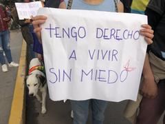 LGBT rights poster at a march in Cusco