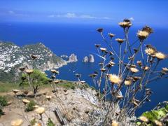 Scenic view of Capri Island from Monte Solaro with blue sea and green hills