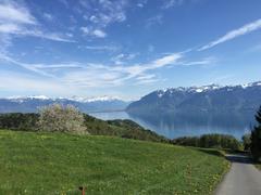 Spring view of the Prealps and Lake Geneva