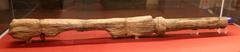 wooden yoke element from the 5th century AD on display in the Museo delle Navi Antiche in Pisa