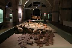 Ancient amphorae in the Museo delle Navi Antiche di Pisa