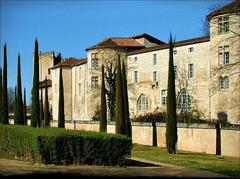 French trees in the Roman Museum gardens in Perigueux