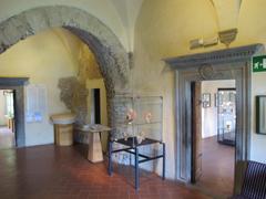 A hall in the Archaeological Museum of Arezzo showcasing various artifacts