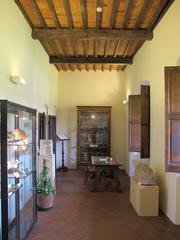 Museo Archeologico di Arezzo interior room with artifacts