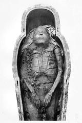 Mummy of Masaharta, High Priest of Amun, DB320