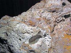 Auriferous volcanic breccia from Colorado